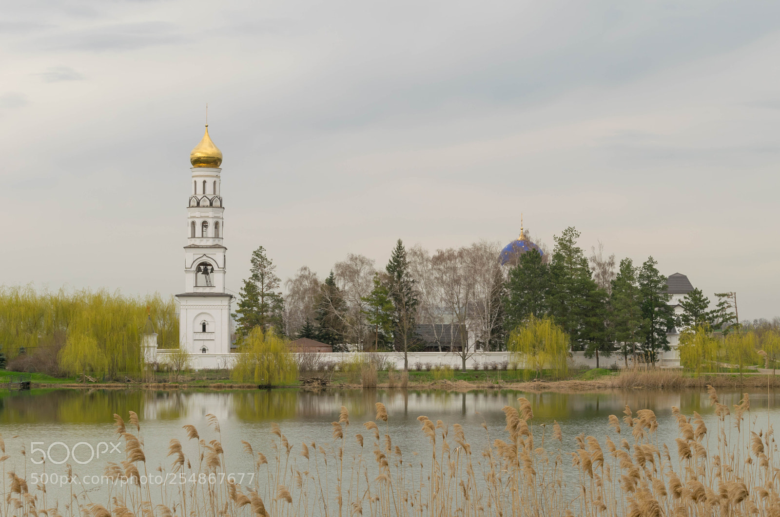 Nikon D5300 sample photo. Nunnery photography