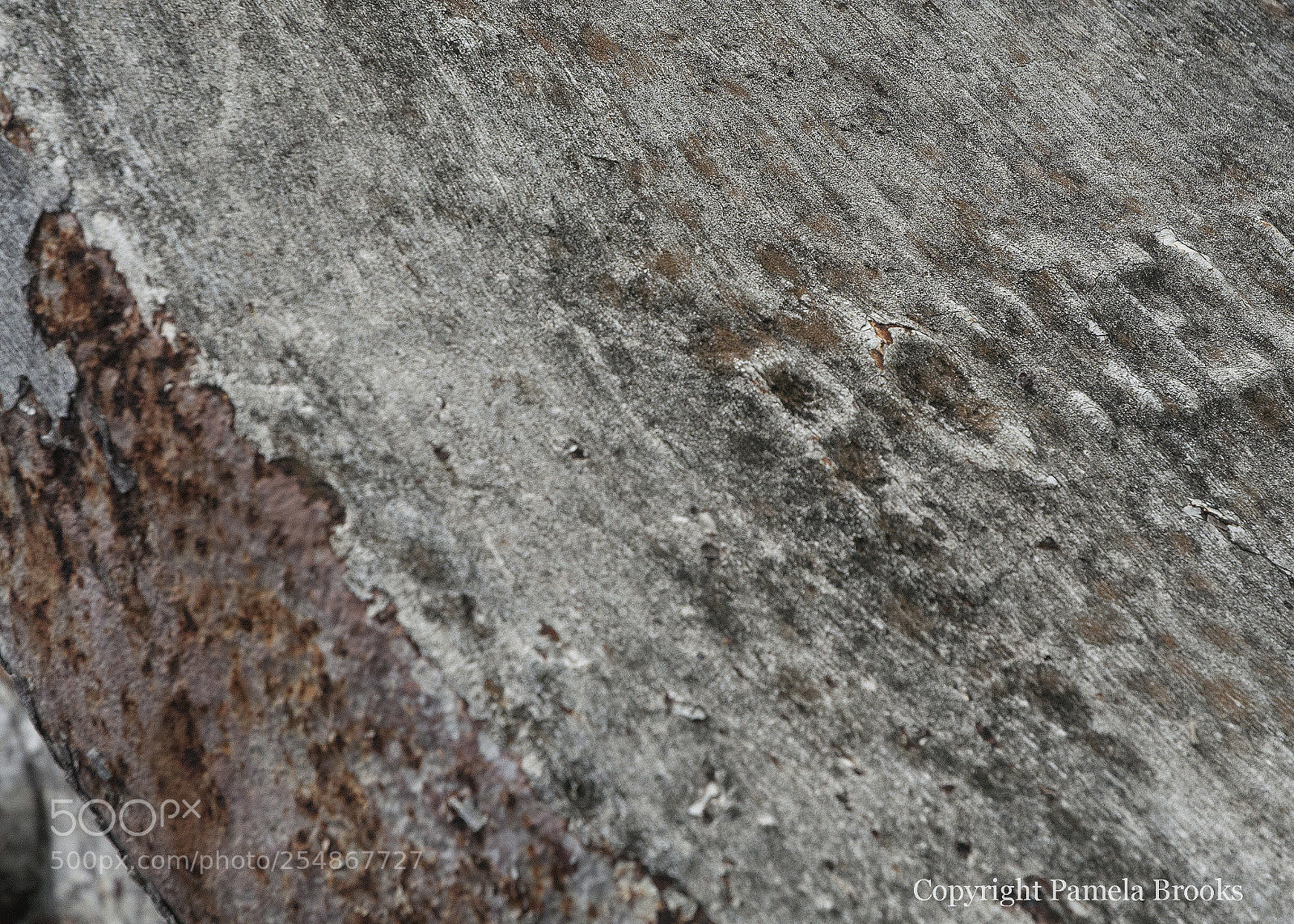 Nikon D90 sample photo. Anchor detail photography