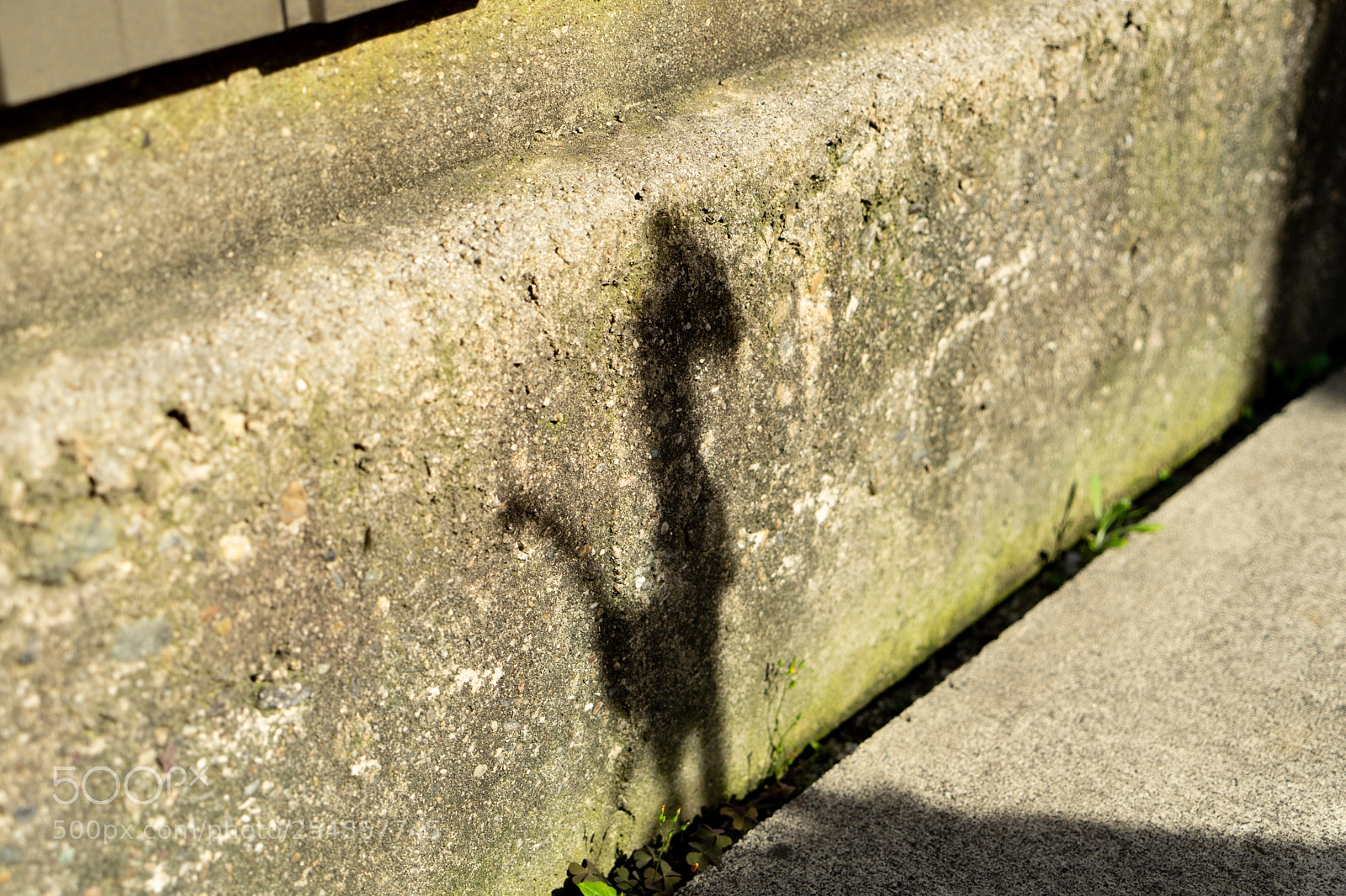 Sony a7 II sample photo. Funny shadow  photography