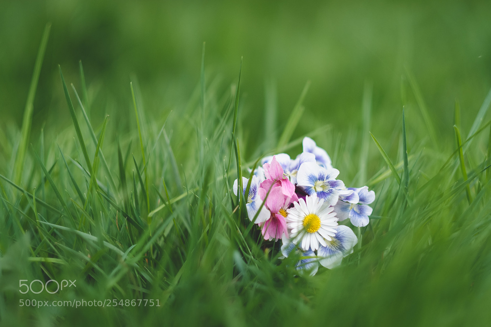 Fujifilm X-T2 sample photo. Spring photography