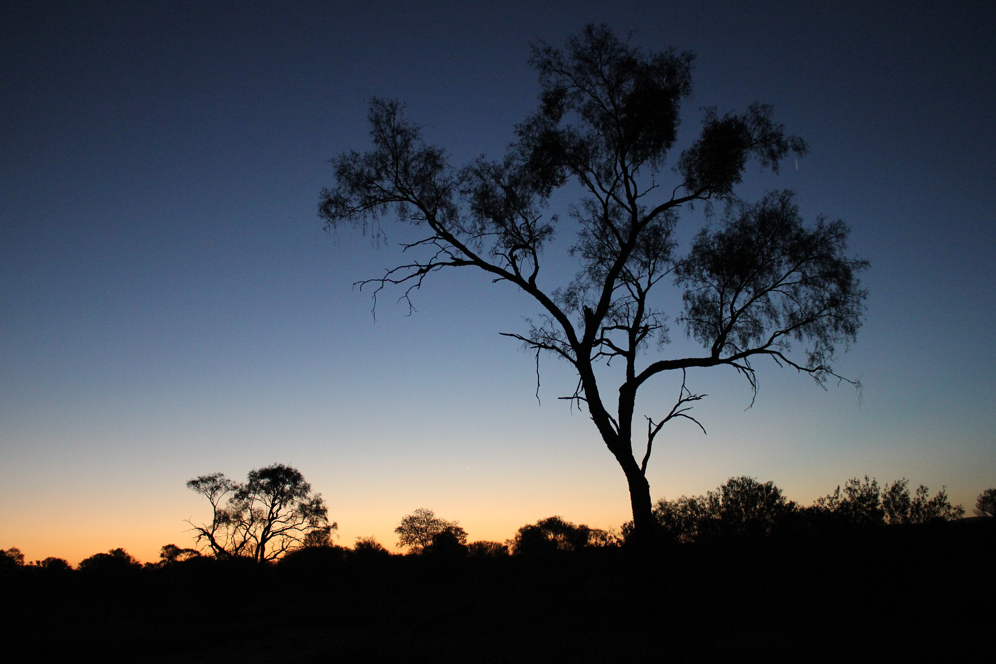 Canon EOS 550D (EOS Rebel T2i / EOS Kiss X4) sample photo. A desert evening photography