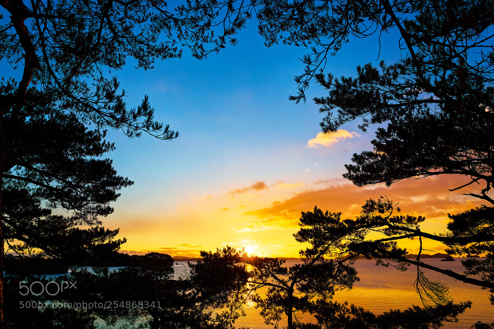 Nikon D850 sample photo. Dawn of matsushima photography