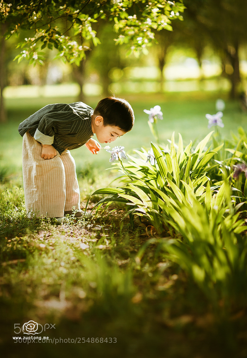 Canon EOS-1D X sample photo. 闻香 photography