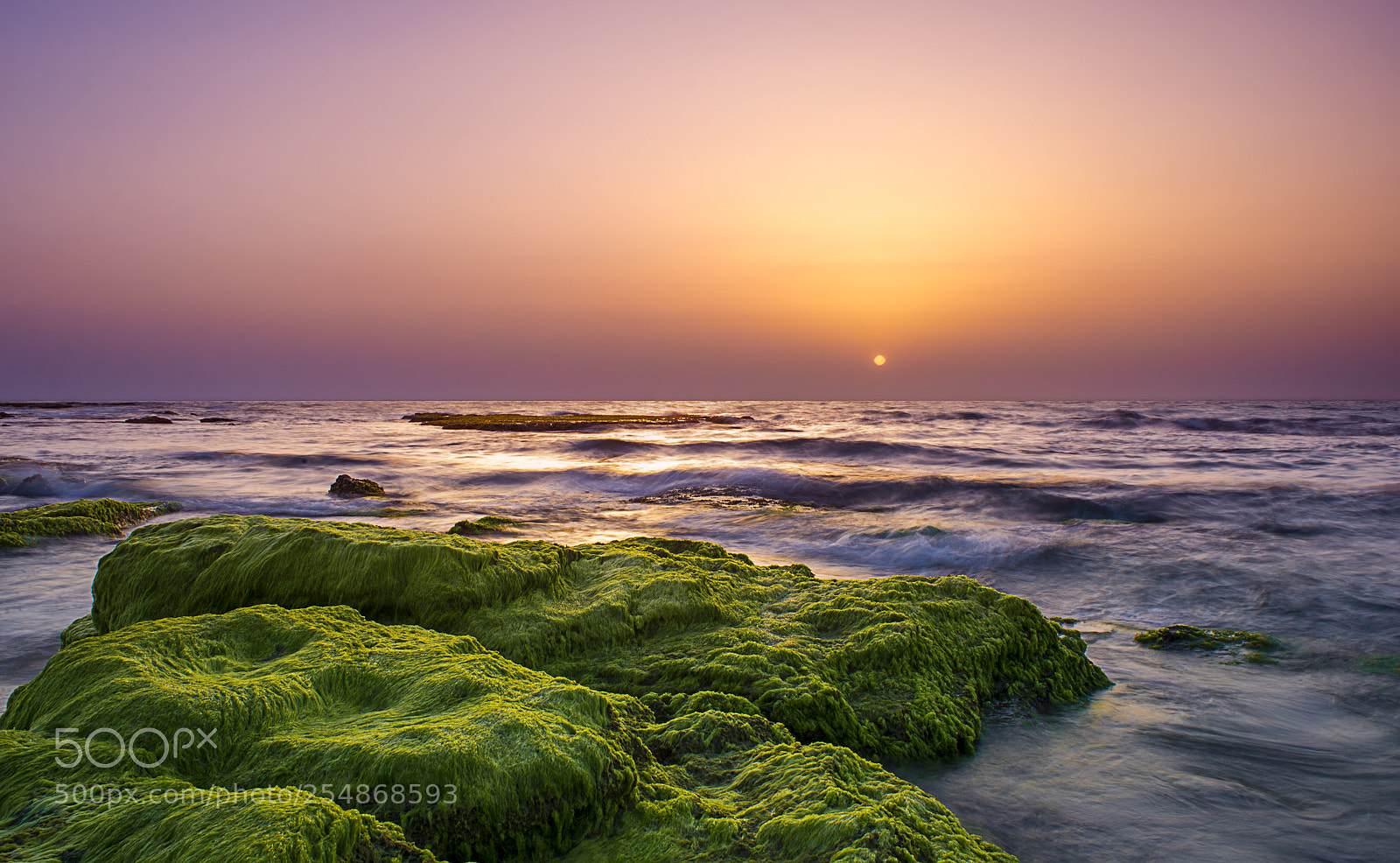 Nikon D600 sample photo. Sunset horizon 2 photography