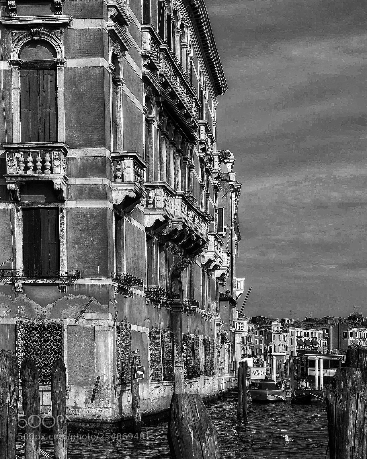 Nikon D50 sample photo. Untitled photography