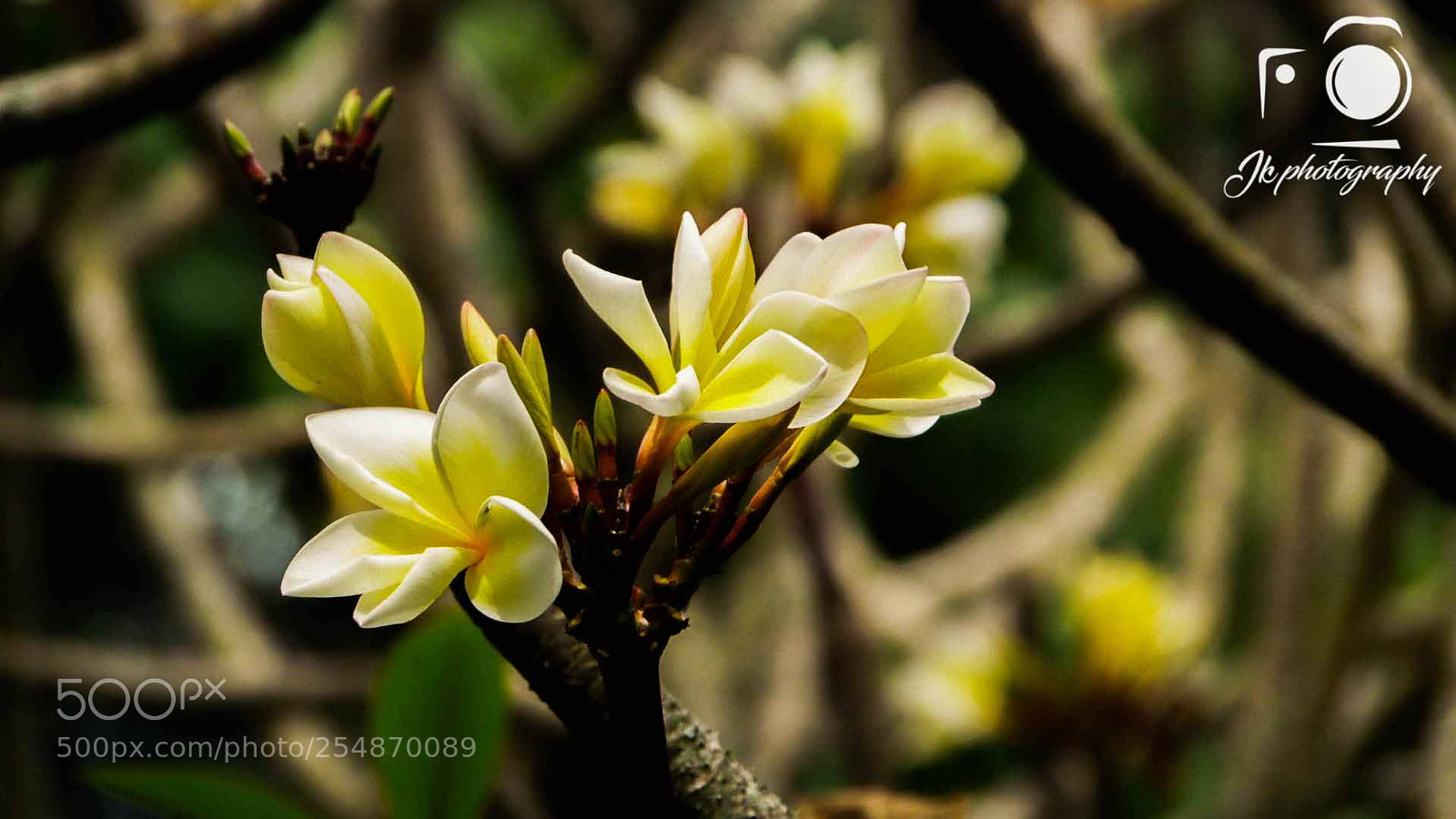 Samsung WB1100F/WB1101F/WB1102F sample photo. () photography