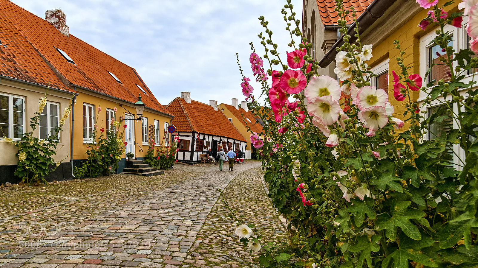 Sony ILCA-77M2 sample photo. Mallows of ebeltoft photography