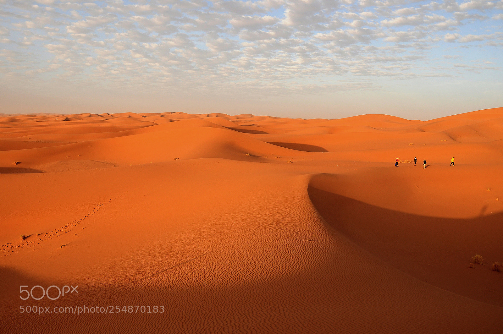 Nikon D90 sample photo. Sahara photography