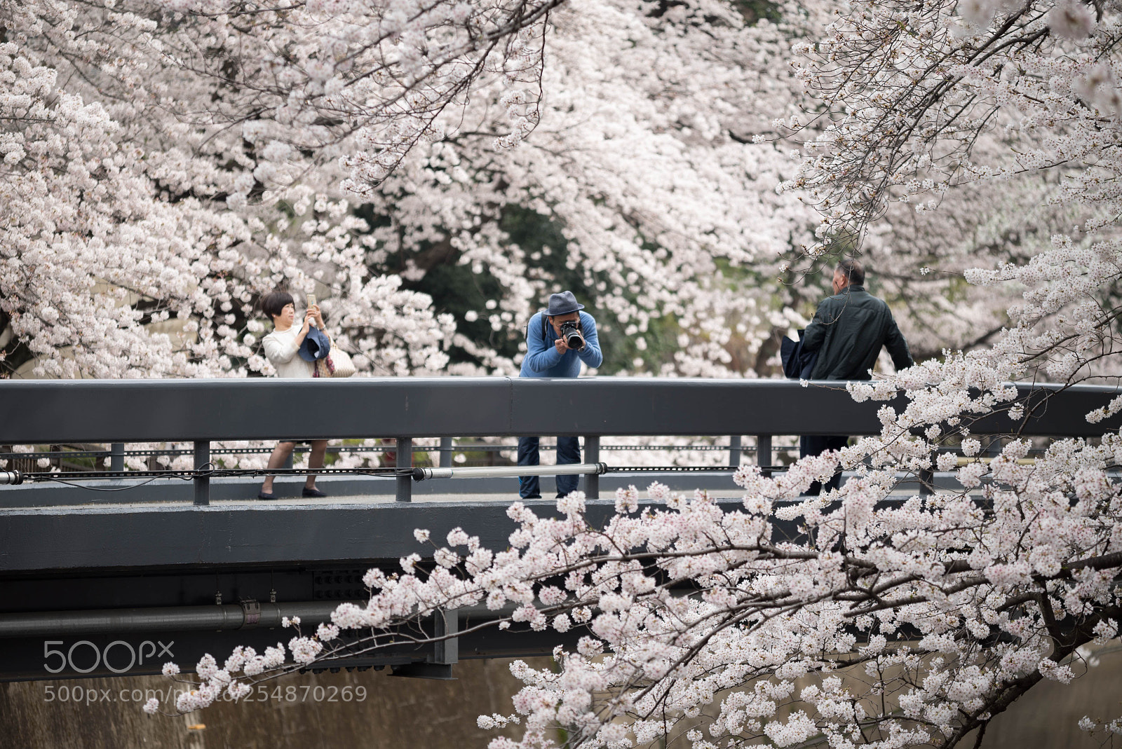 Sony a7S sample photo. Dsc photography