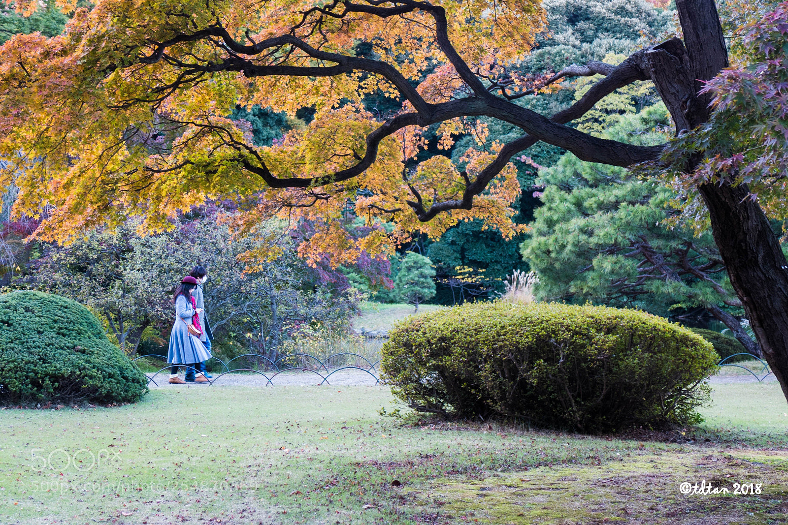 Panasonic Lumix DMC-LX7 sample photo. Autumn - walking with photography