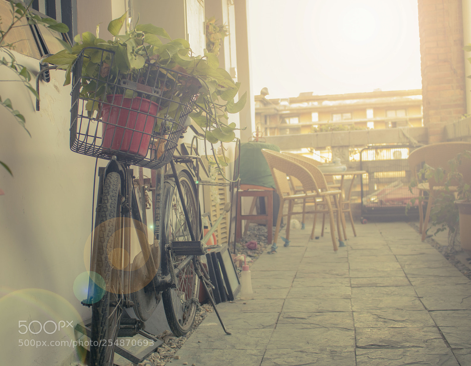 Canon EOS 760D (EOS Rebel T6s / EOS 8000D) sample photo. Untitled photography