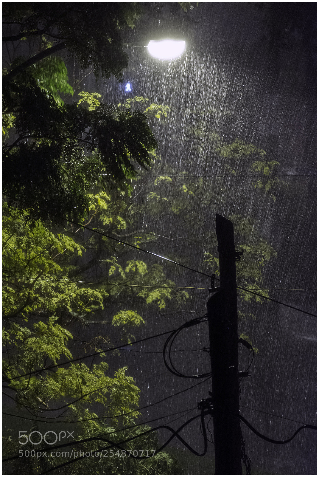 Nikon D7200 sample photo. La otra noche vi photography