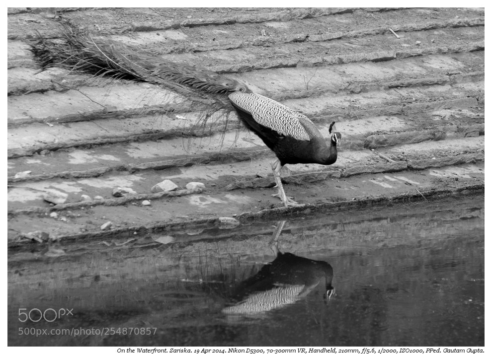 Nikon D5300 sample photo. On the waterfront photography