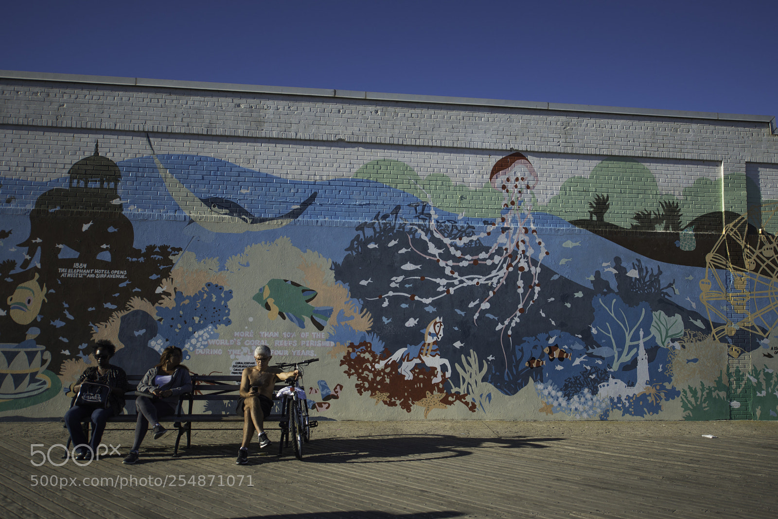 Nikon D800E sample photo. Blue photography