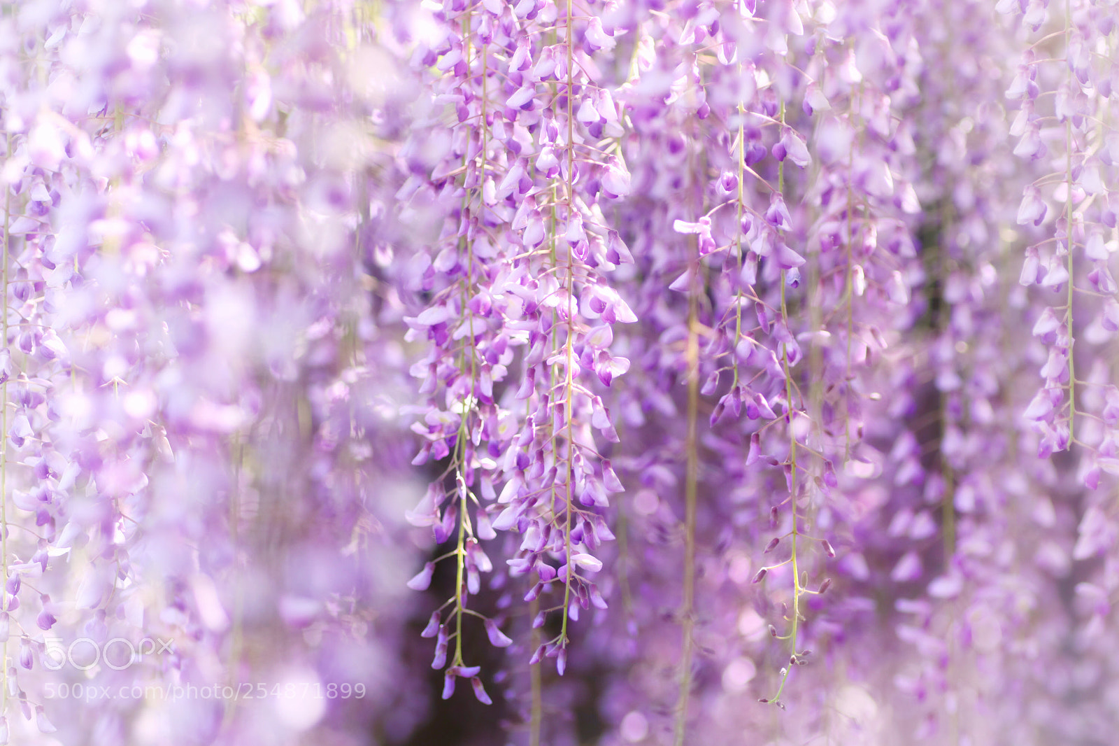 Canon EOS 80D sample photo. Untitled photography