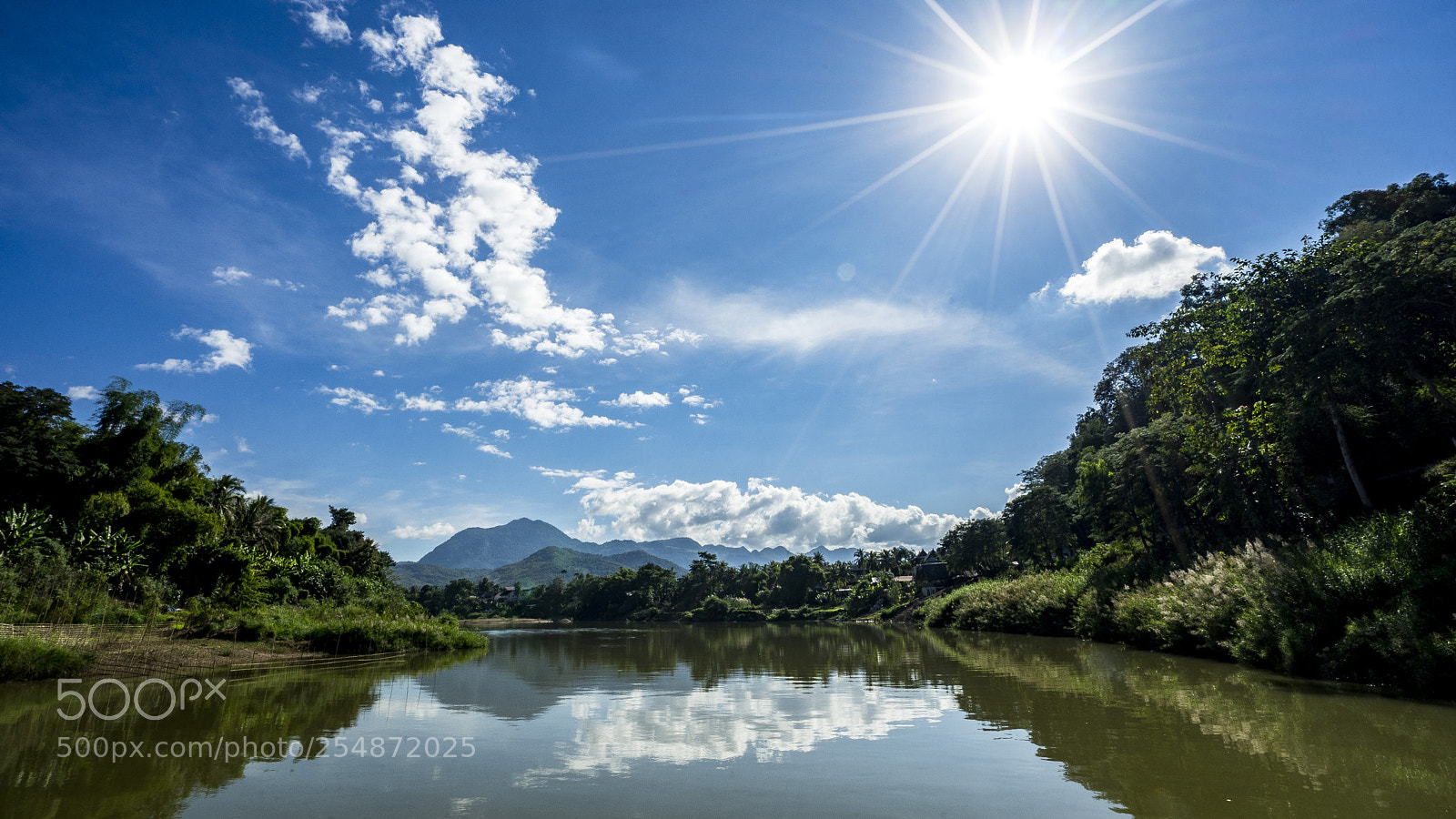 Sony a7 II sample photo. Bamboo bridge view photography