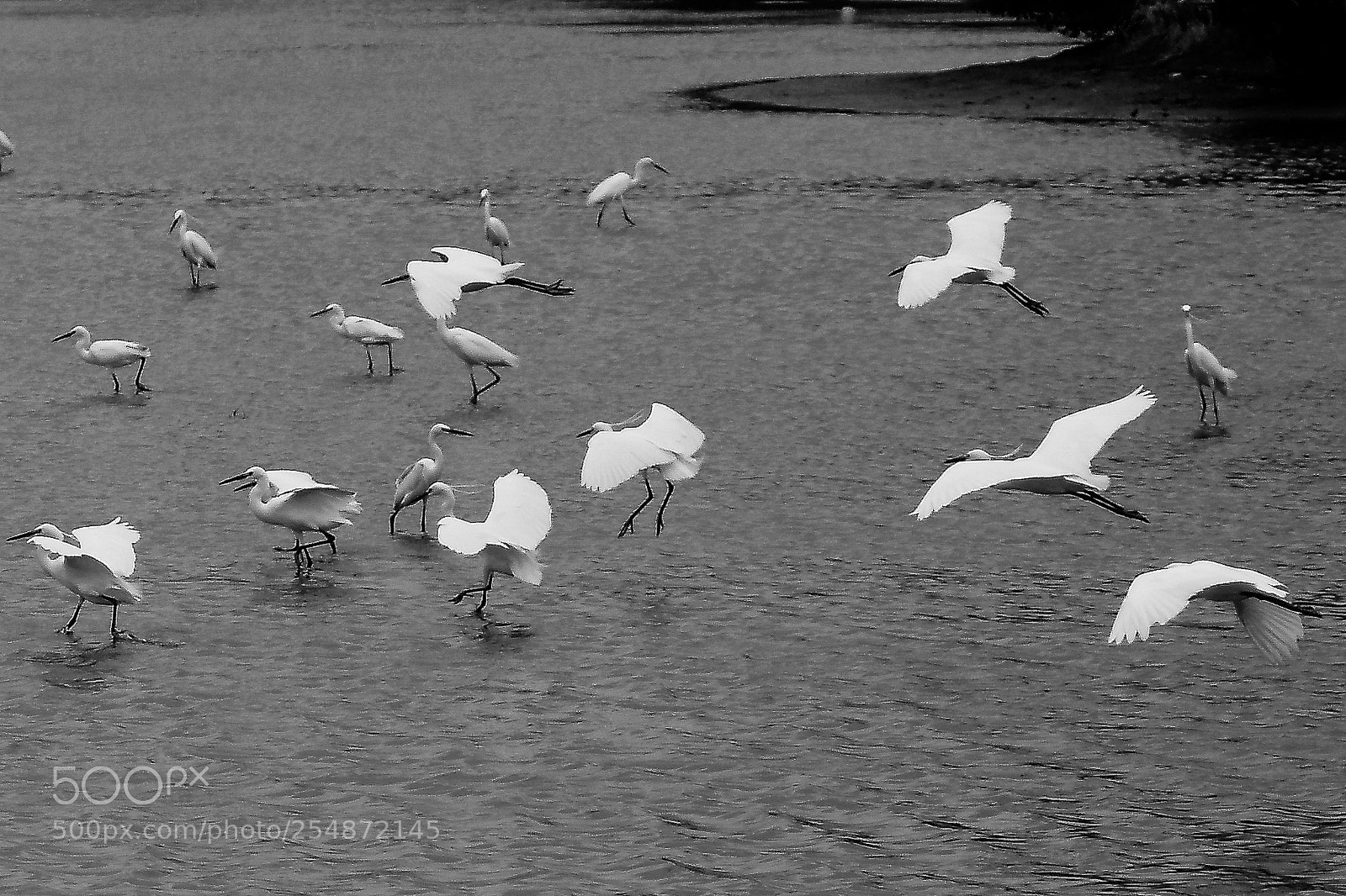 Nikon D7500 sample photo. Landing photography