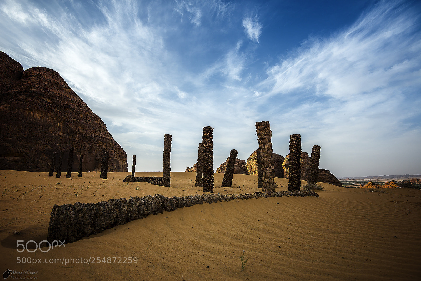 Nikon D800E sample photo. The pillars of the photography