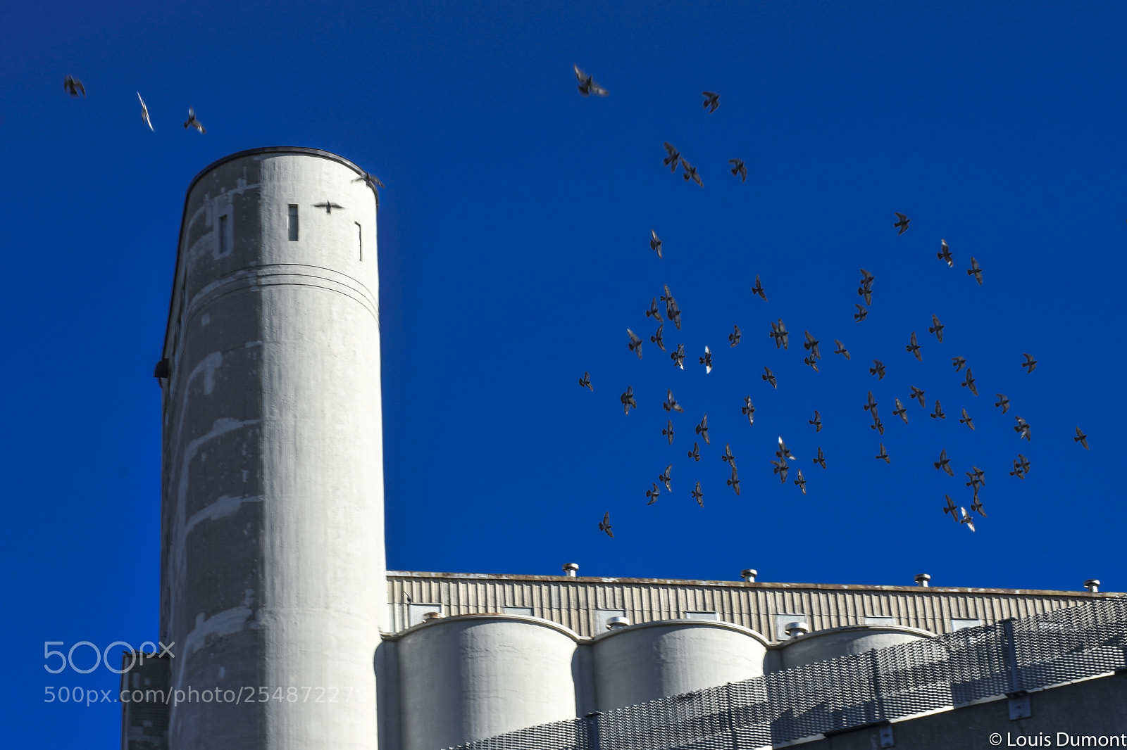 Nikon D7200 sample photo. Non non les gars photography