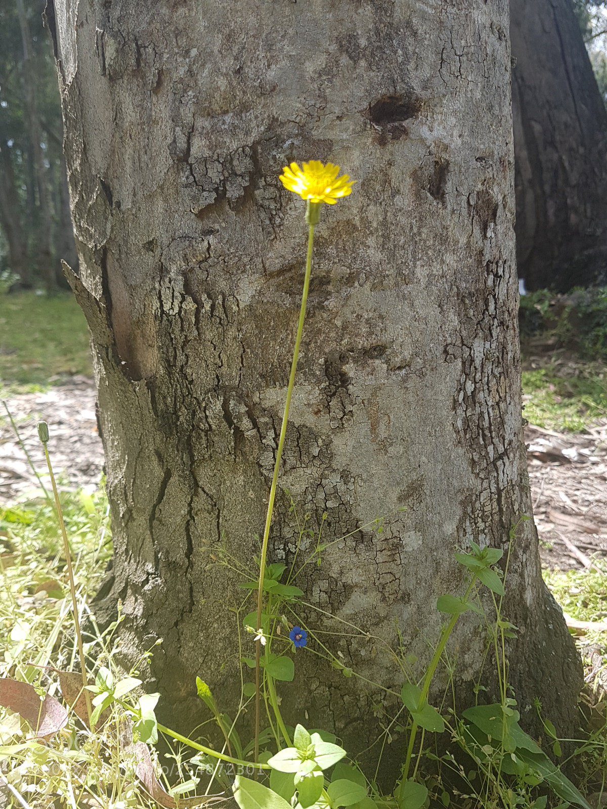 Samsung Galaxy S7 sample photo. Untitled photography