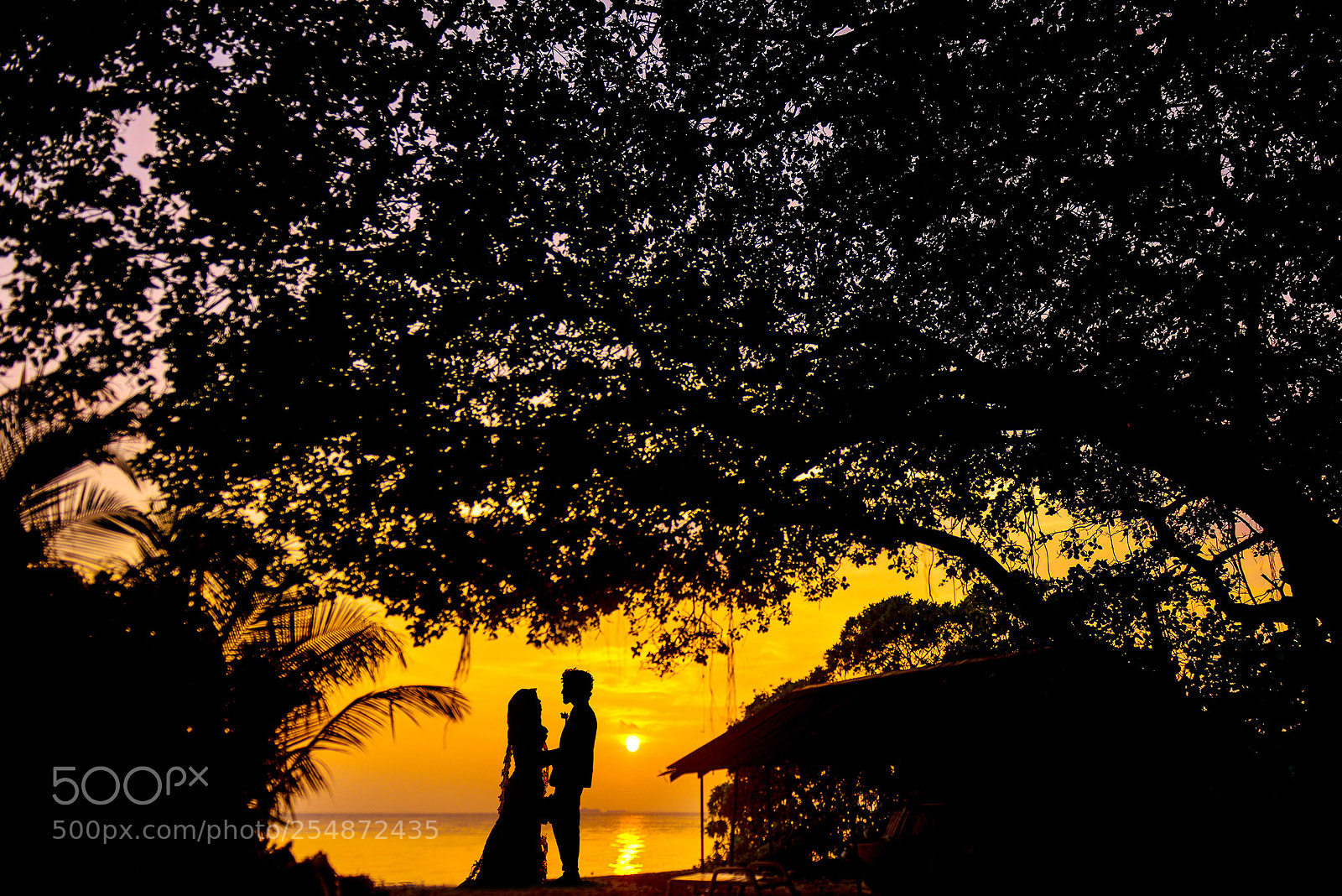 Nikon D800E sample photo. Romantic couple on the photography