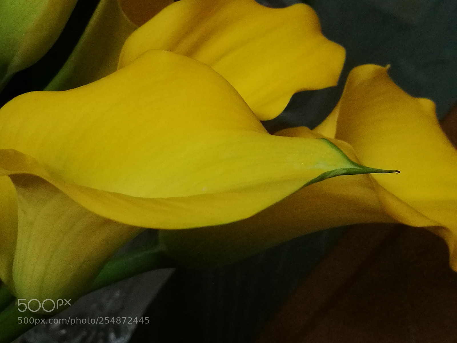 HUAWEI P9 sample photo. Untitled photography