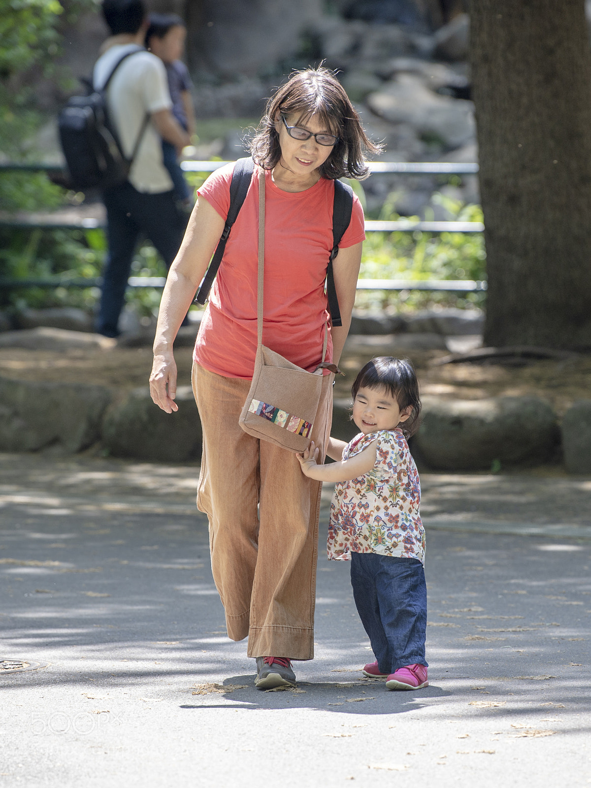 Nikon D5 sample photo. At a zoo. photography