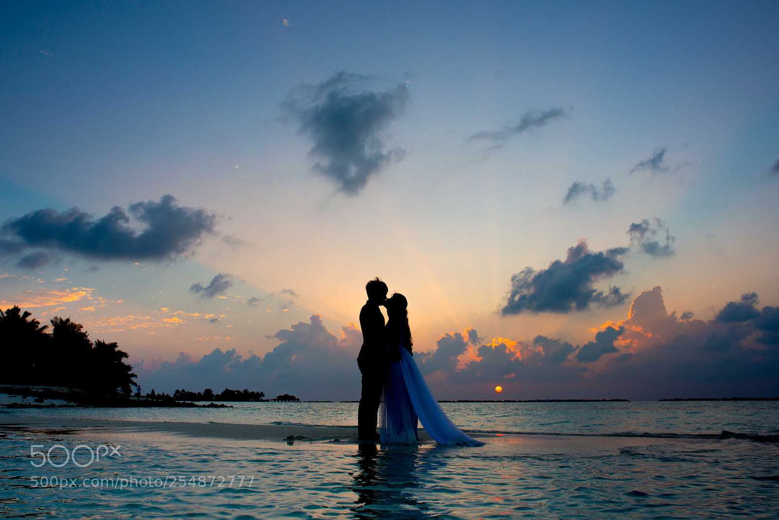 Nikon D800E sample photo. Romantic couple on the photography