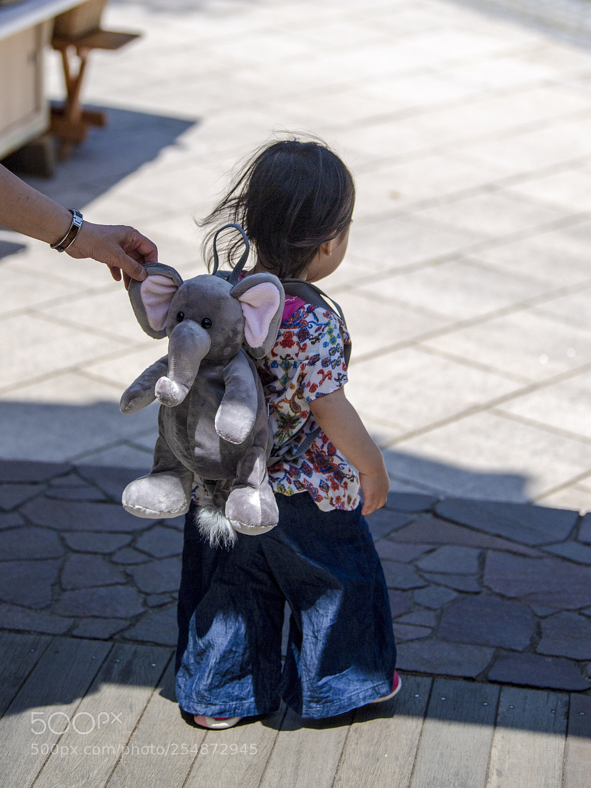 Nikon D5 sample photo. She likes elephants. photography