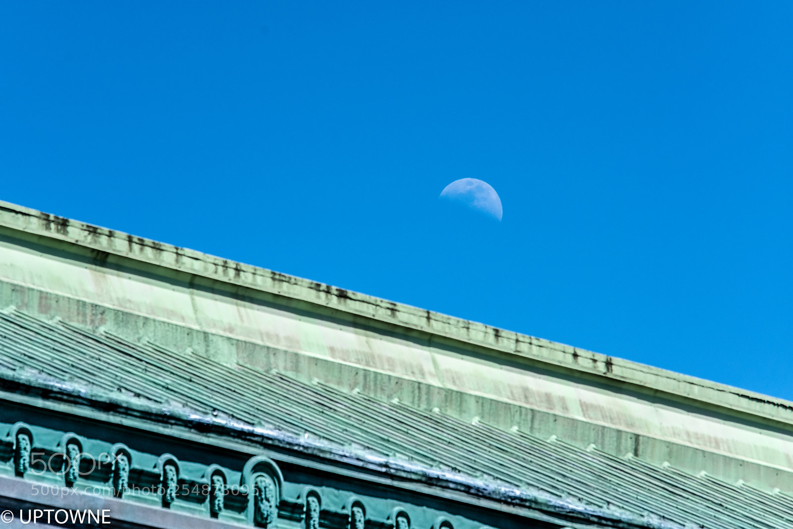 Nikon D7200 sample photo. L u m i photography