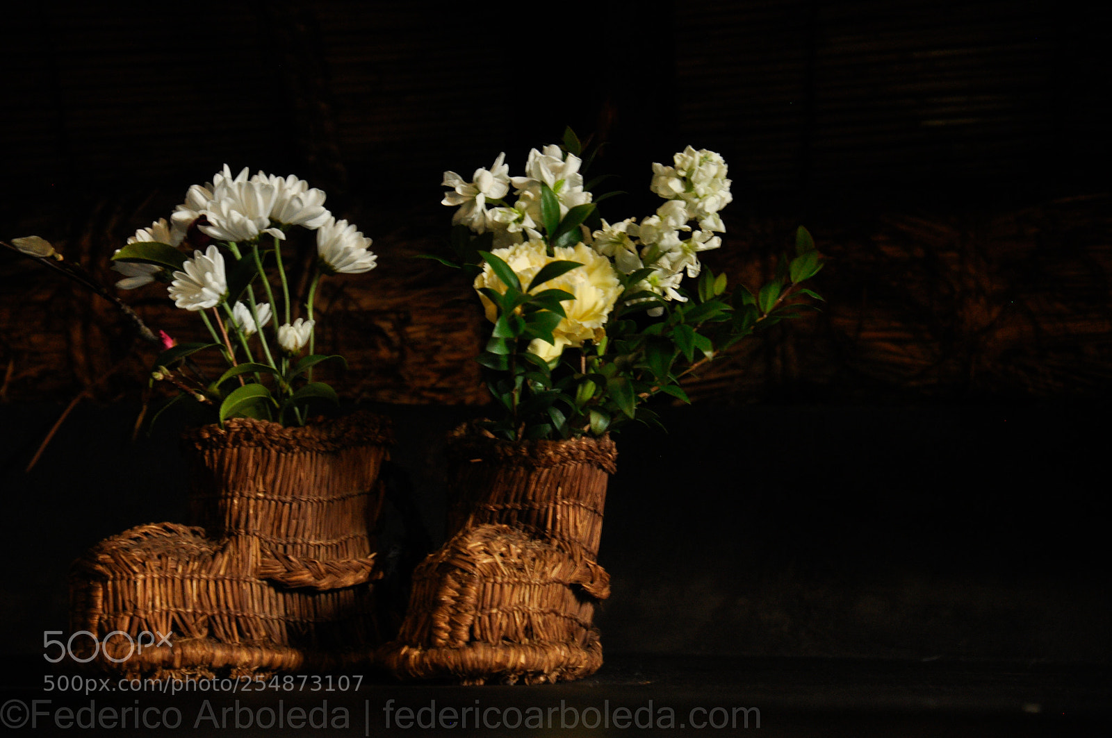 Nikon D90 sample photo. Planted boots photography