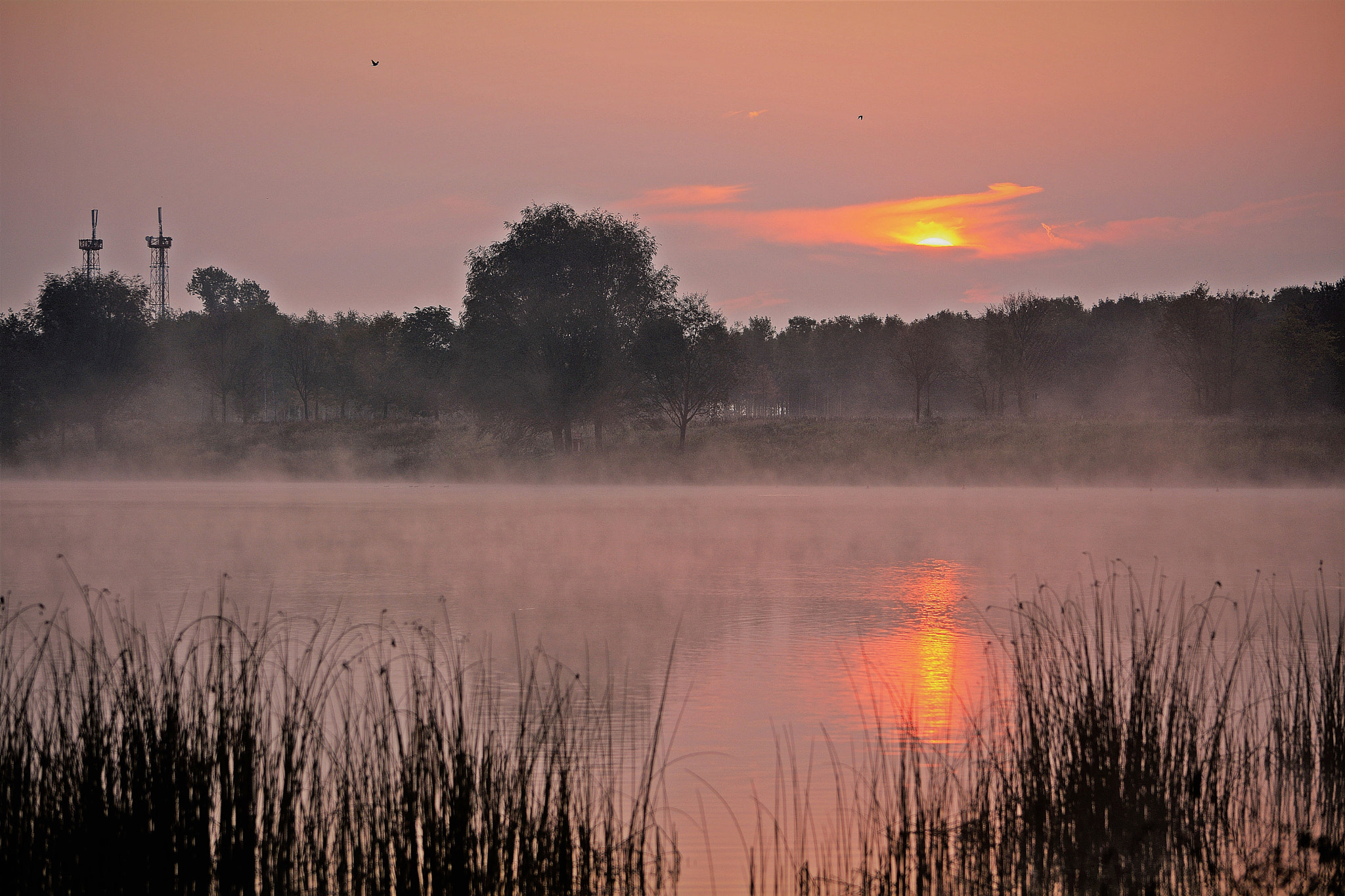 Nikon D7100 sample photo. Looking for two birds photography
