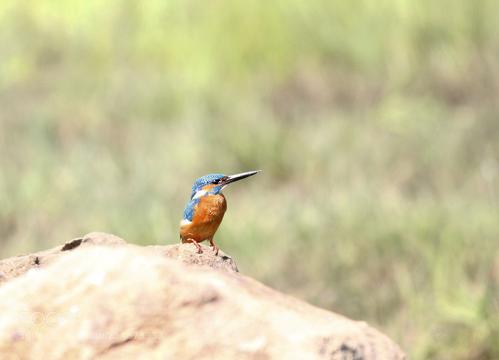 Canon EOS 5D Mark II sample photo. Untitled photography