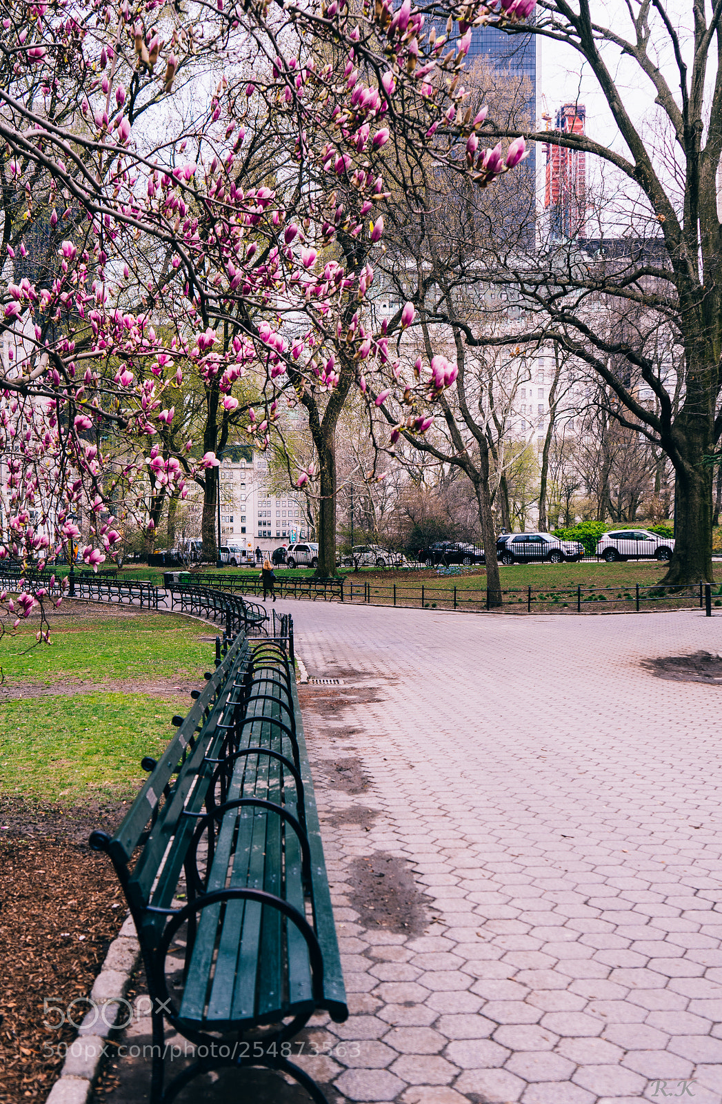 Sony a7R sample photo. Life never stops and photography