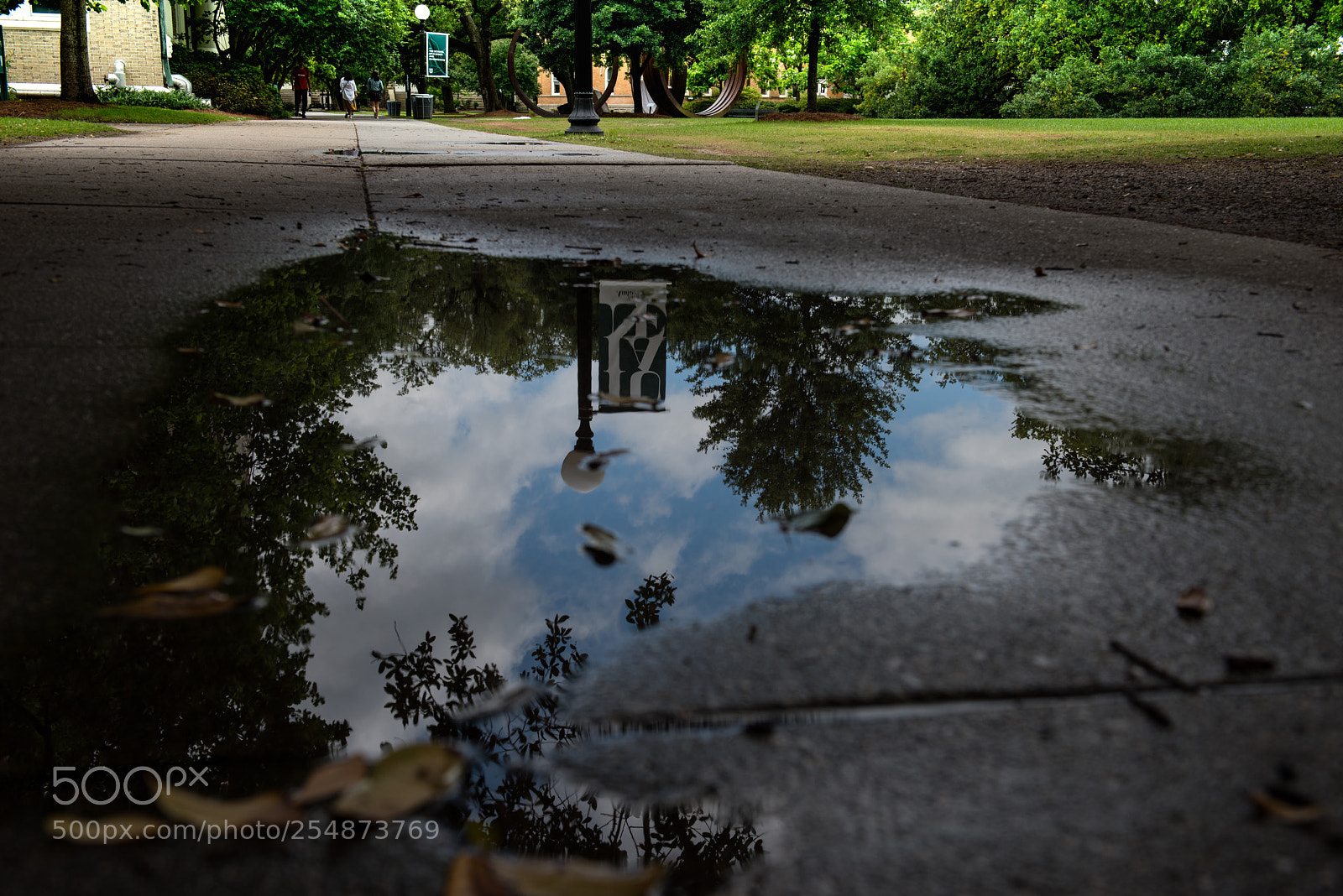 Nikon D800 sample photo. Tulane university photography