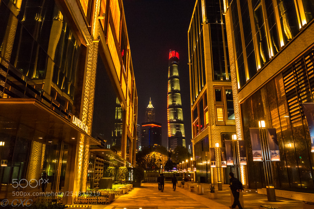 Leica Q (Typ 116) sample photo. Shanghai photography