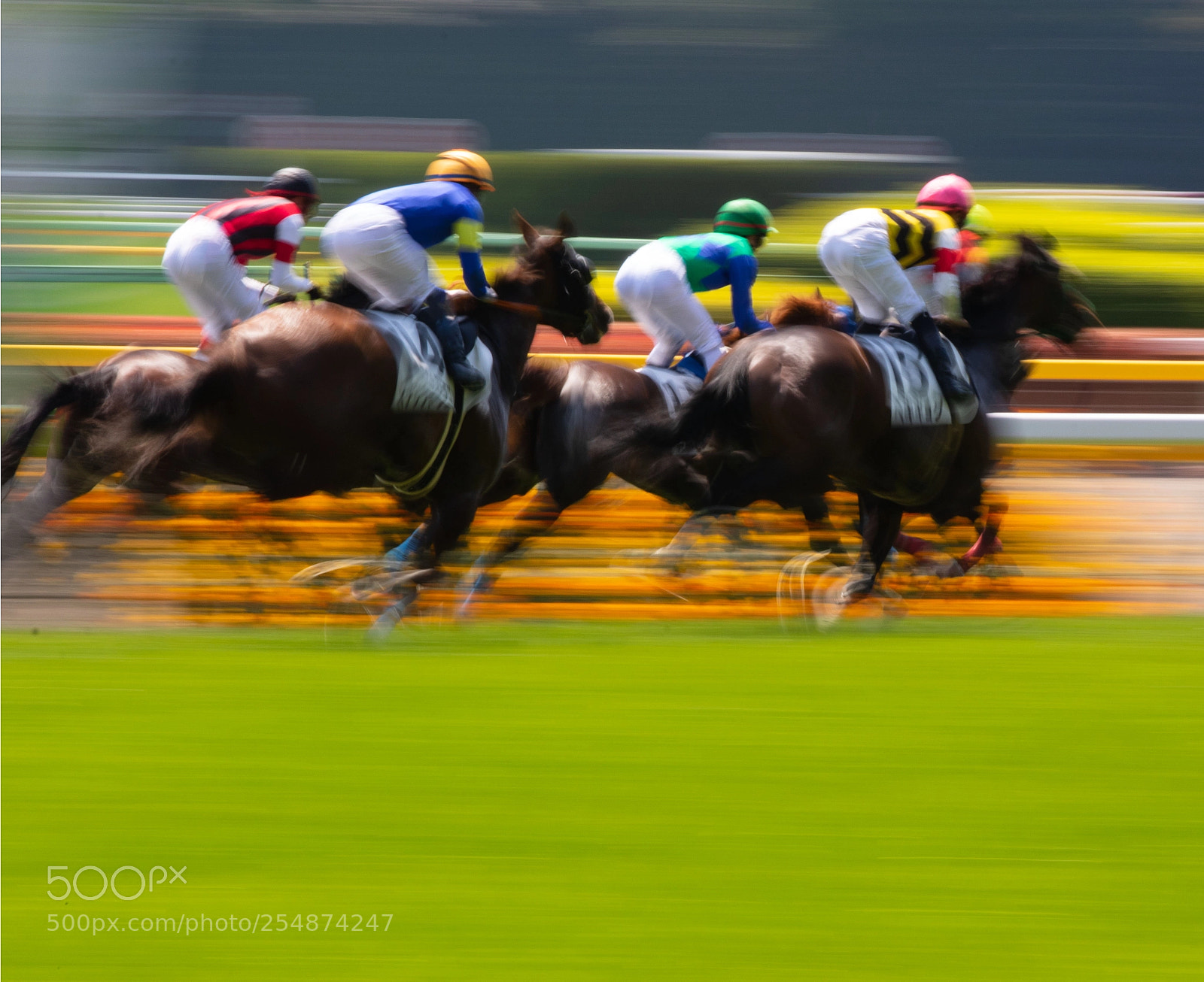 Canon EOS 7D Mark II sample photo. Horse race photography