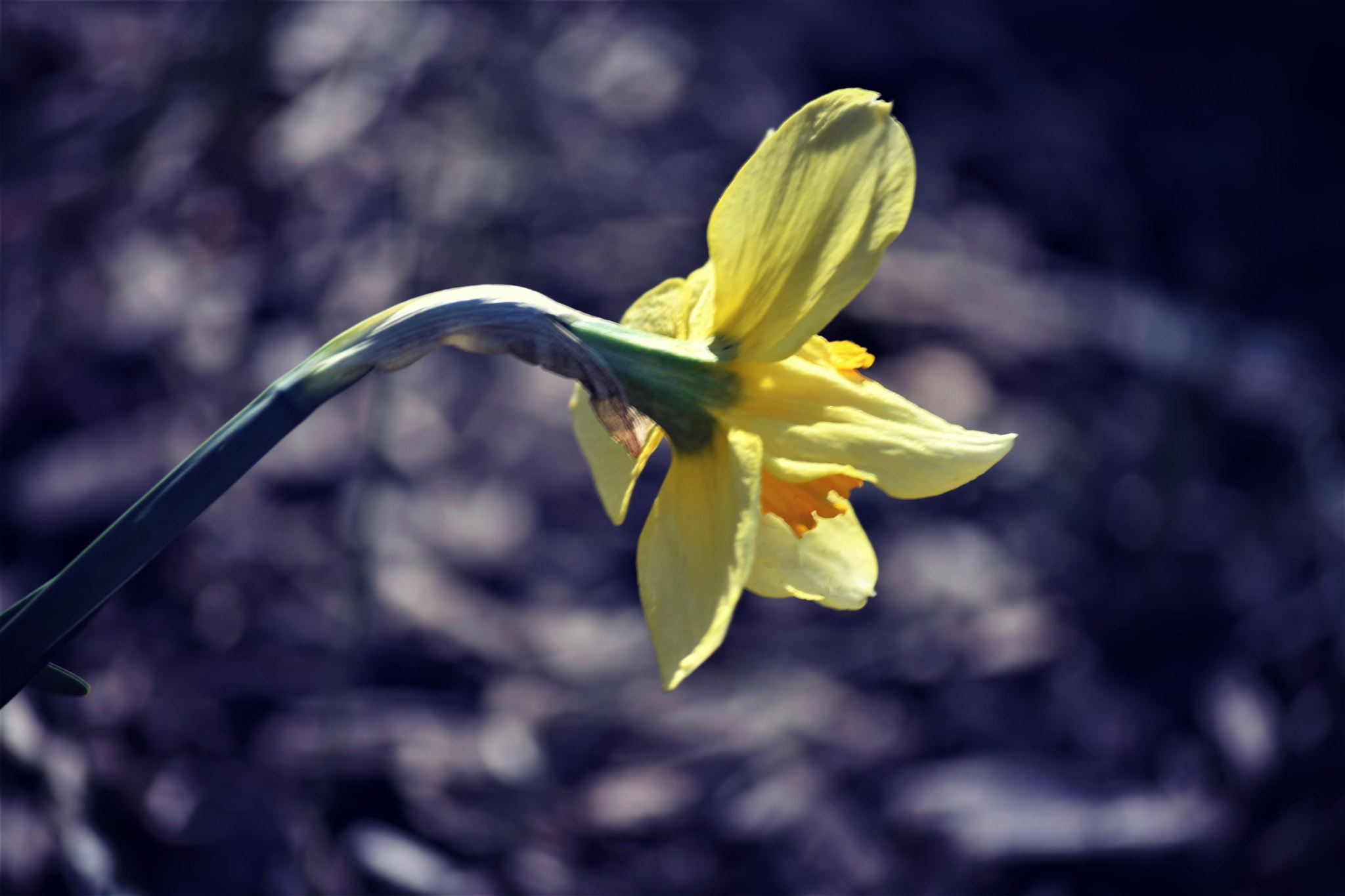 Nikon D5300 sample photo. Balance... photography