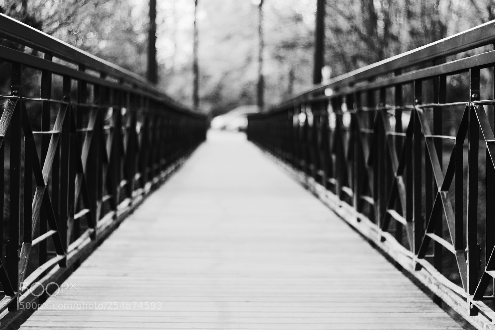 Canon EOS 1300D (EOS Rebel T6 / EOS Kiss X80) sample photo. Bridge photography