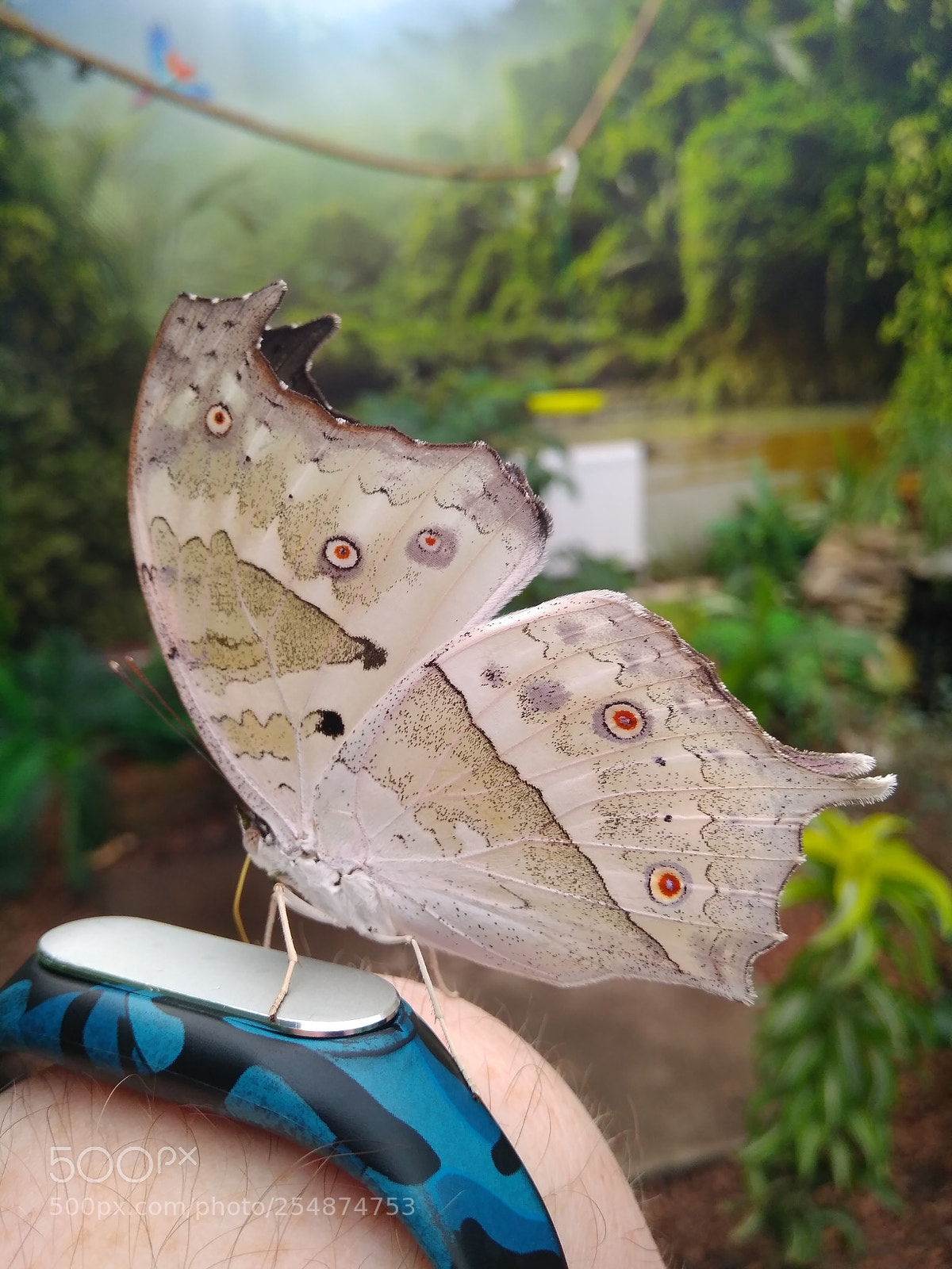 Xiaomi Redmi 4 Pro sample photo. Untitled photography