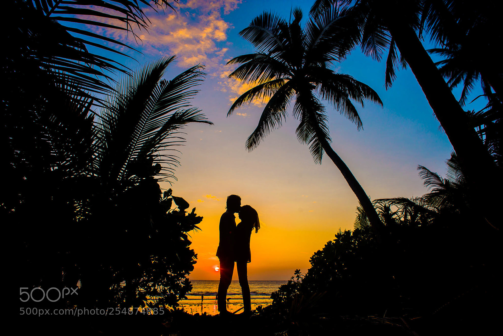 Nikon D800E sample photo. Romantic couple on the photography
