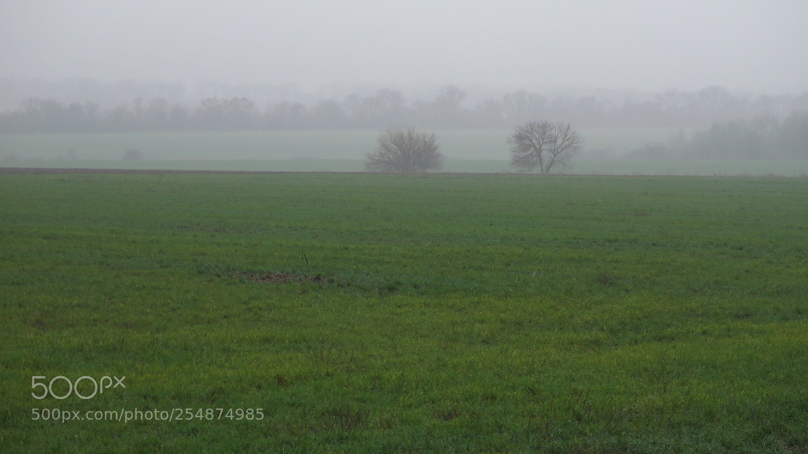 Canon PowerShot G16 sample photo. Fog in the fields photography
