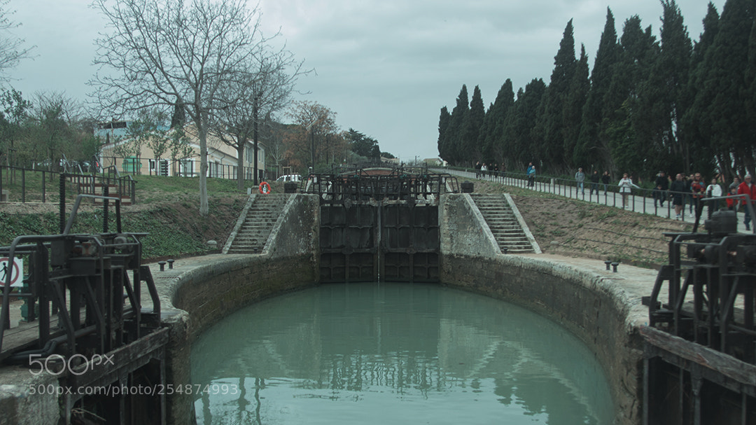 Canon EOS 80D sample photo. 02.jpg photography
