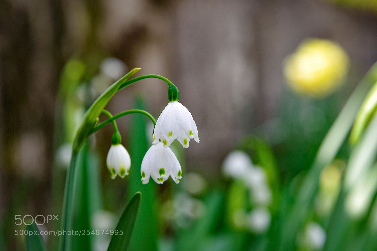 Pentax K-70 sample photo. Untitled photography
