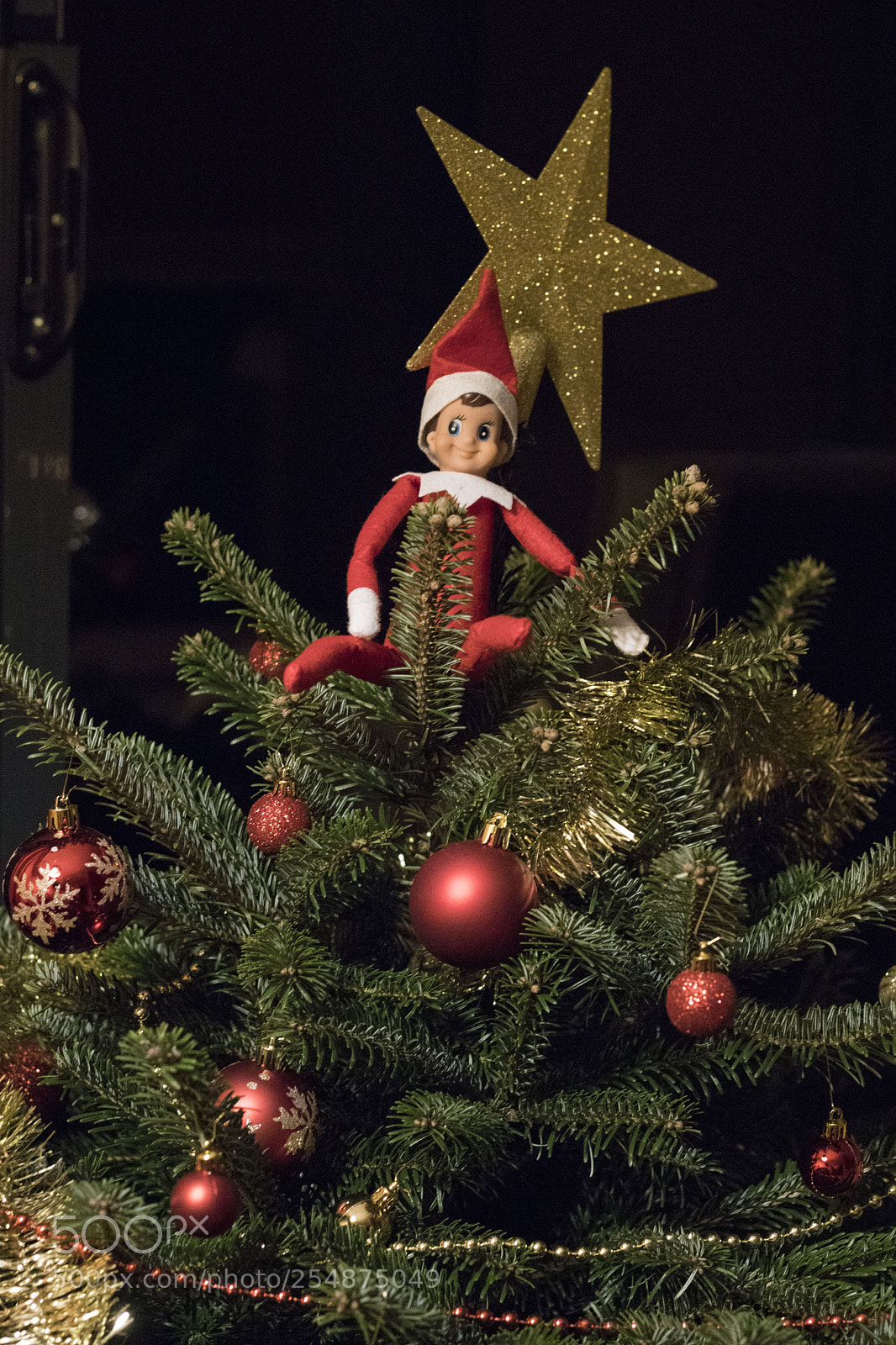 Canon EOS 77D (EOS 9000D / EOS 770D) sample photo. Elf on the shelf 17.12 photography