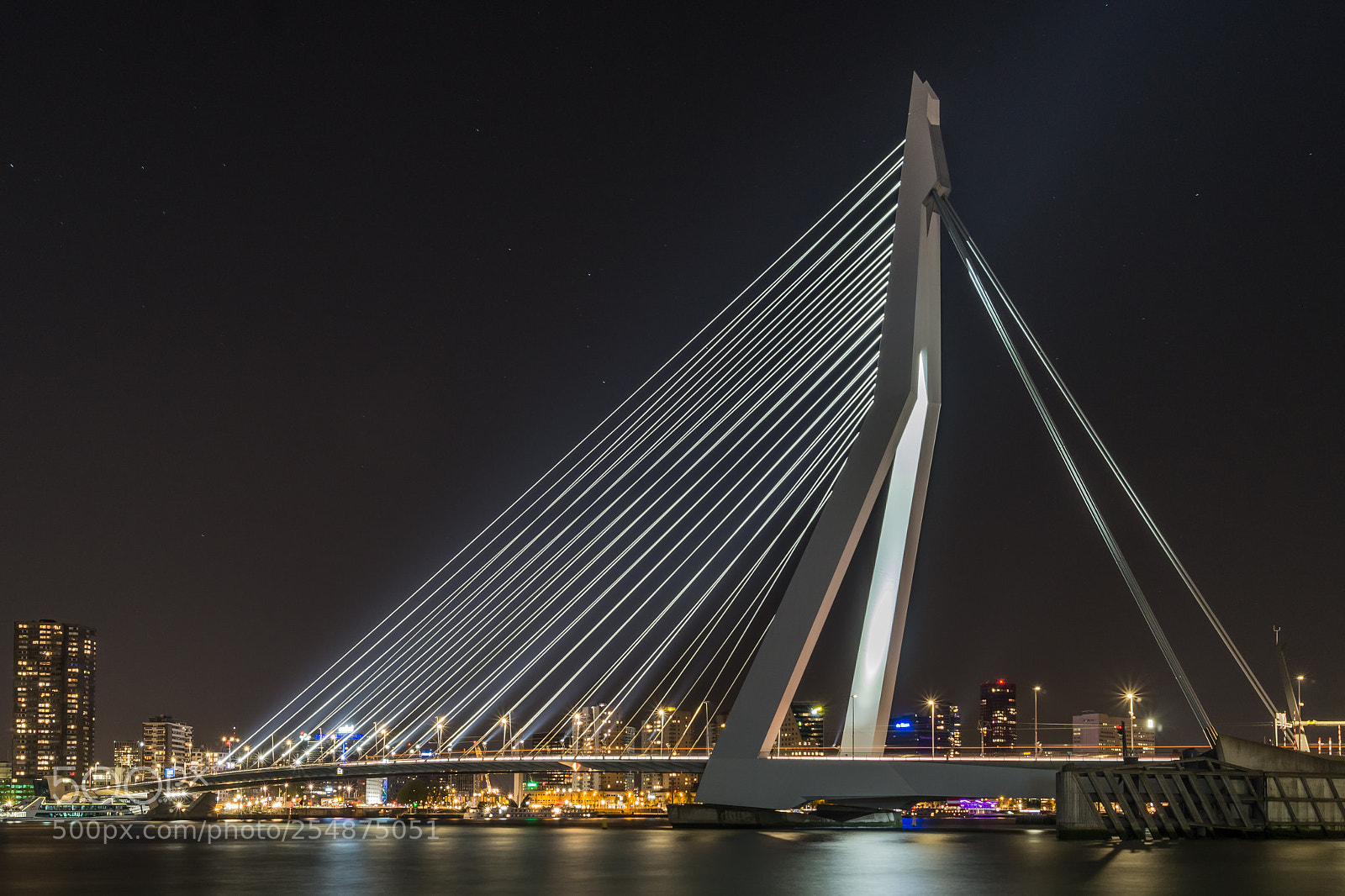 Sony SLT-A58 sample photo. Erasmusbrug rotterdam photography