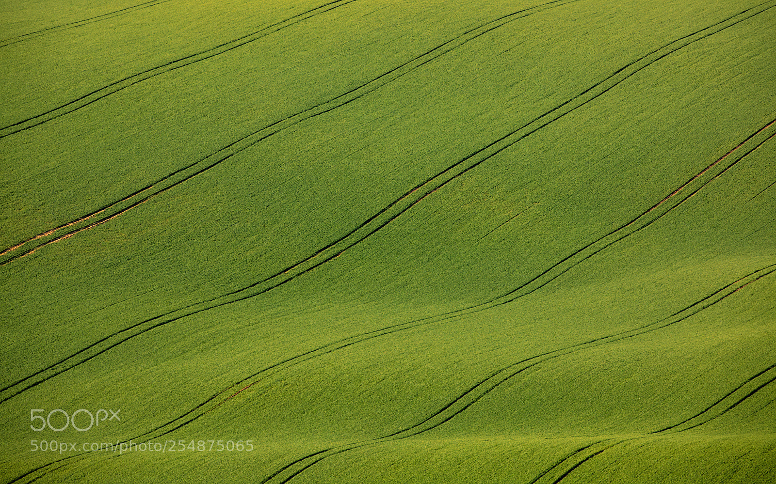 Canon EOS 5D Mark IV sample photo. Czech moravia waves photography