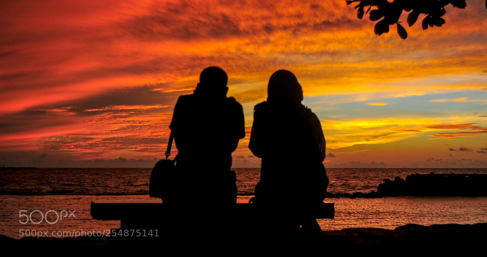 Nikon D300 sample photo. Romantic couple on the photography