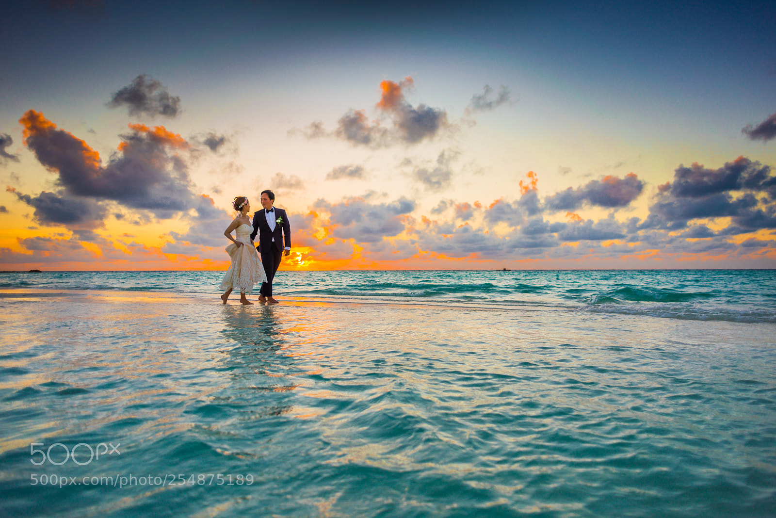 Nikon D800E sample photo. Romantic couple on the photography