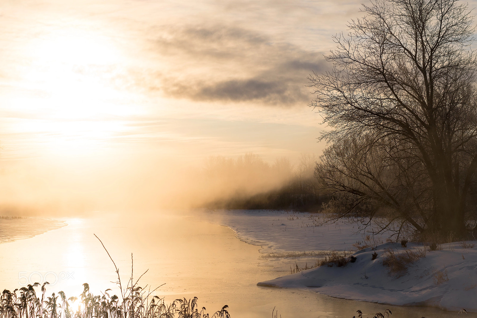 Sony a6500 sample photo. Frozen mists photography
